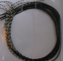���� Dry Fly (��� ����� ���) 10 �� Black/Gold/Grizzly Var.  ������ � 12-14 L+